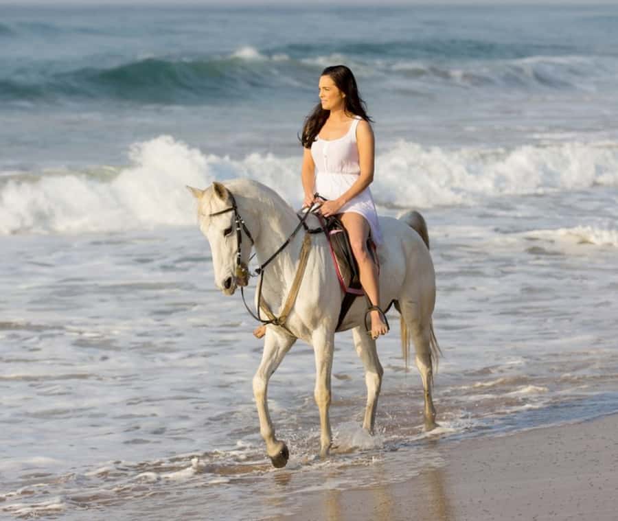 Cartagena: Horseback Riding on the Beach at Sunset - Key points before you book