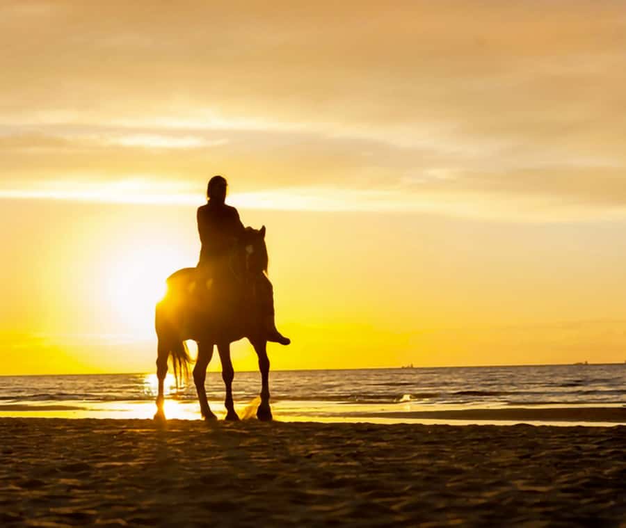 Cartagena: Horseback Riding on the Beach at Sunset - Riding beyond Cartagena’s postcard center