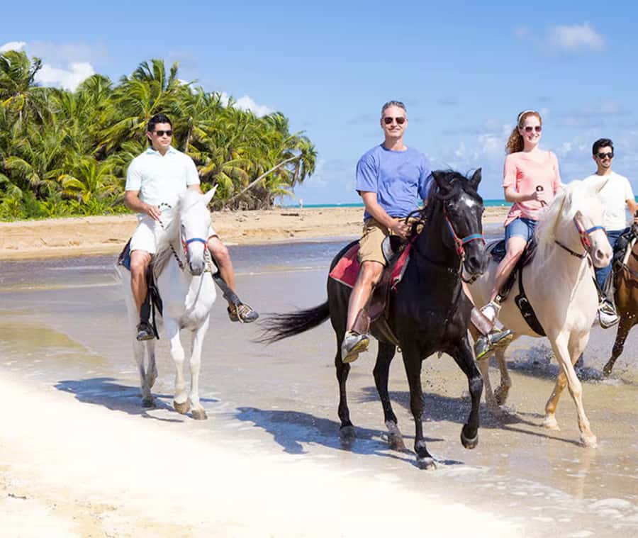 Cartagena: Horseback Riding on the Beach at Sunset - Getting comfortable with the horses