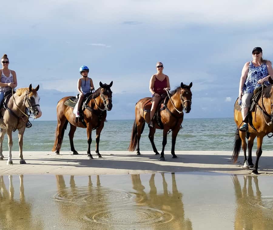 Cartagena: Horseback Riding on the Beach at Sunset - Who will enjoy this beach ride