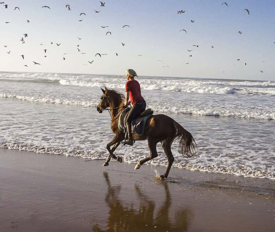 Cartagena: Horseback Riding on the Beach at Sunset - Practical clothing and transport advice
