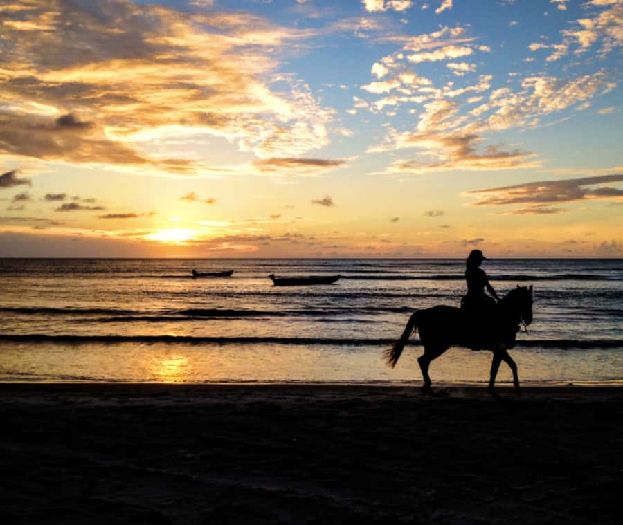 Cartagena: Horseback Riding on the Beach at Sunset - Should you book the La Boquilla sunset ride?