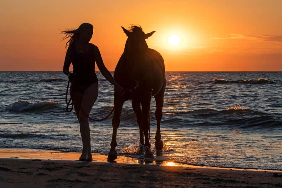 Casablanca: Beach Horseback Riding with Hotel Transfers - Quick takeaways for planning your ride