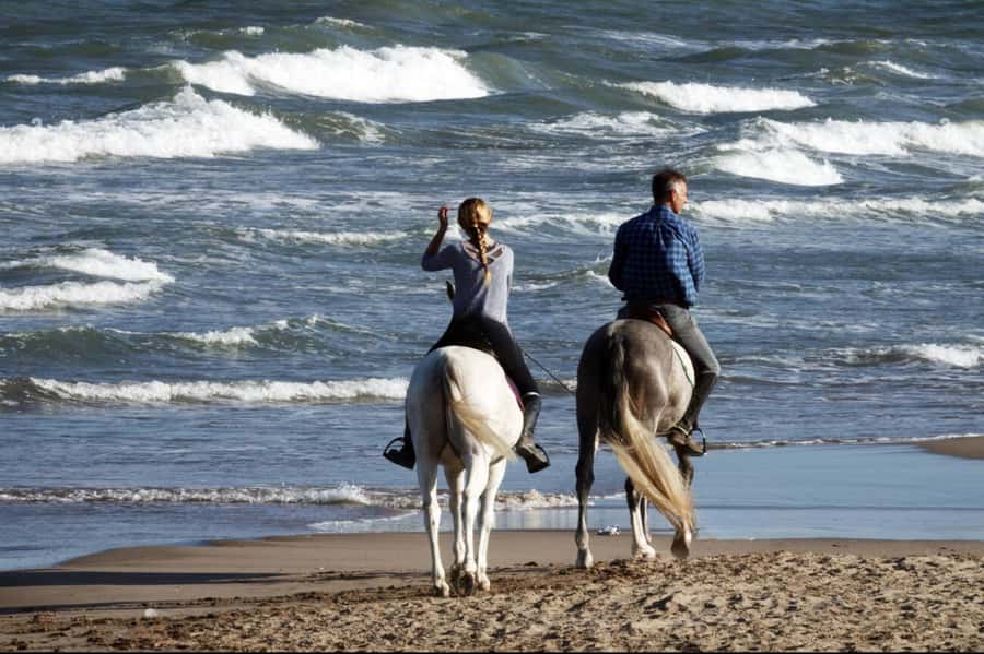 Casablanca: Beach Horseback Riding with Hotel Transfers - Leaving Casablanca for the Atlantic shore