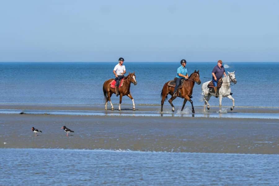 Casablanca: Beach Horseback Riding with Hotel Transfers - What the one-hour horse ride feels like