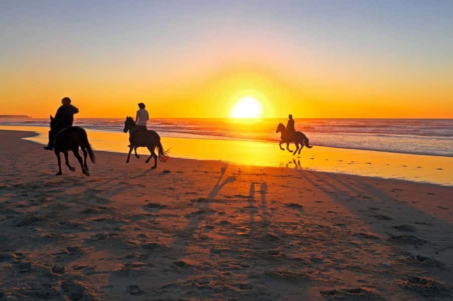 Casablanca: Beach Horseback Riding with Hotel Transfers - Sunset, photos, and the best time to go