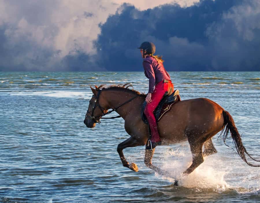 Casablanca: Beach Horseback Riding with Hotel Transfers - Who should book this outing?