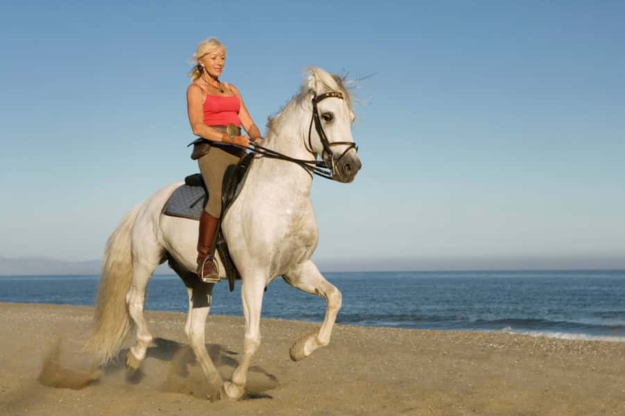 Casablanca: Beach Horseback Riding with Hotel Transfers - Should you book the Casablanca beach ride?