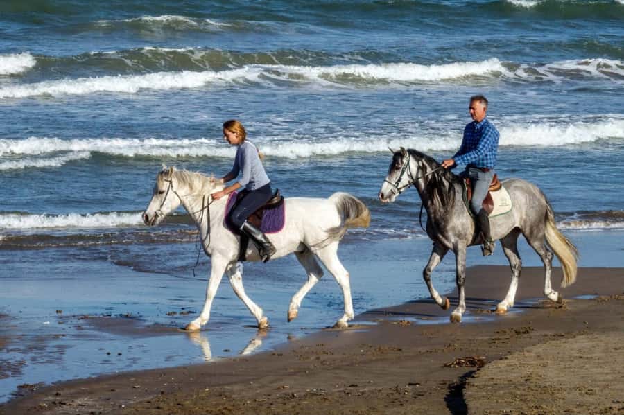 Casablanca: Beach Horseback Riding with Hotel Transfers - Choosing between beach waves and forest quiet