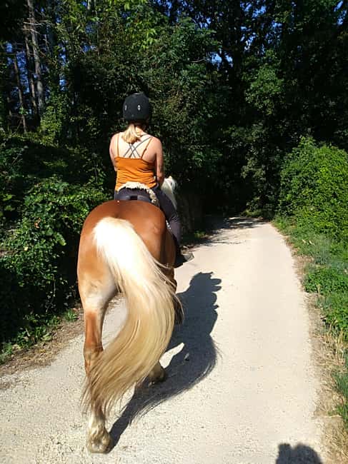 Casentino: Horseback Riding Tour with Verna Sanctuary View - Key points to know before you book