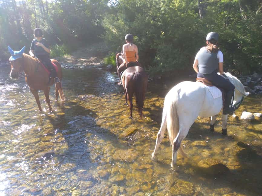 Casentino: Horseback Riding Tour with Verna Sanctuary View - Riding out from Antares Horse Club