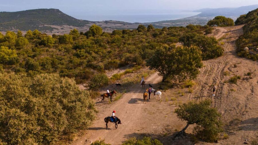 Castelsardo: horseback in Sedini - Key points to know before you book