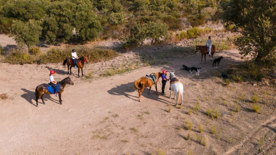 Castelsardo: horseback in Sedini - Language and communication concerns