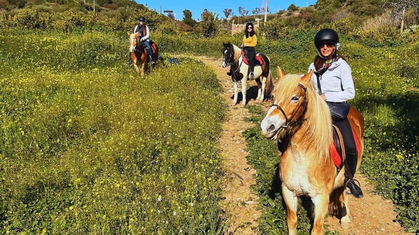 Catania: Guided Horseback Ride in Misterbianco Countryside - Key points to know before you book