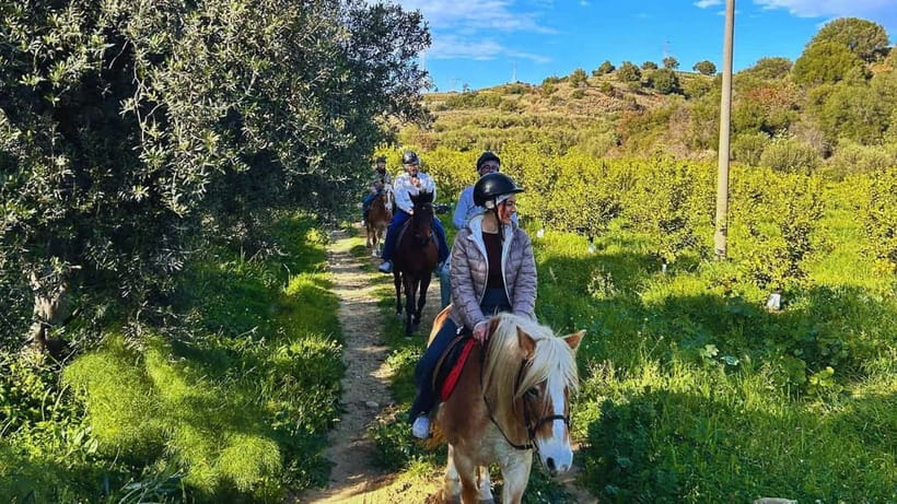 Catania: Guided Horseback Ride in Misterbianco Countryside - What the one-hour itinerary feels like