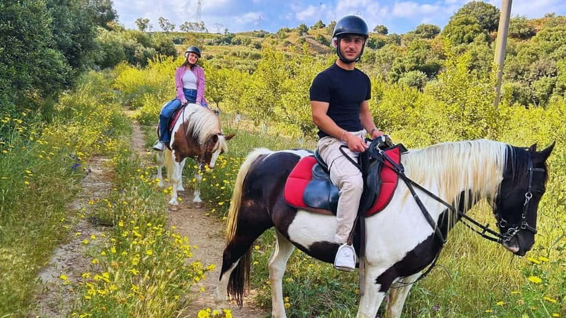 Catania: Guided Horseback Ride in Misterbianco Countryside - Is $49 a fair price?