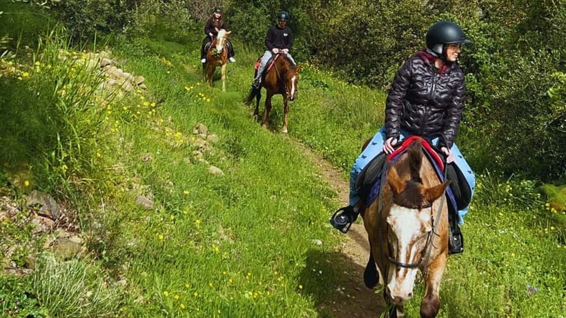 Catania: Guided Horseback Ride in Misterbianco Countryside - Getting to the stable from Catania