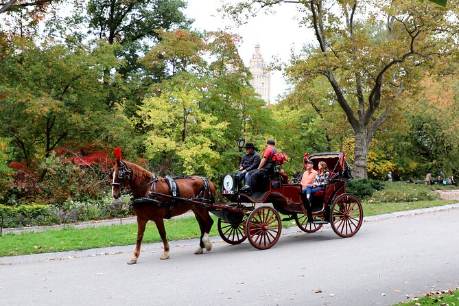 Central Park Carriage Ride w/ Drop Off @ Tavern On Green (45 min) - Cherry Hill gives the ride its best pause