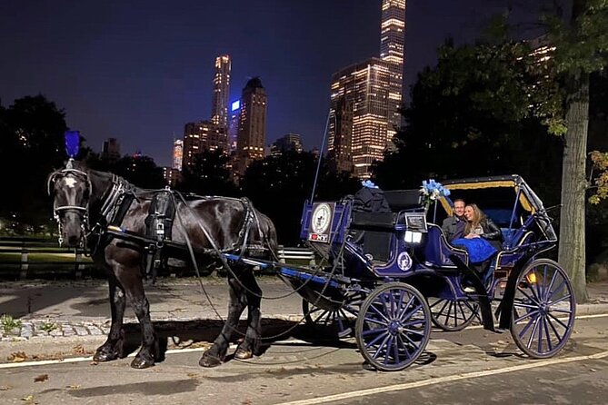 Central Park Carriage Ride w/ Drop Off @ Tavern On Green (45 min) - What 45 minutes feels like on the ground