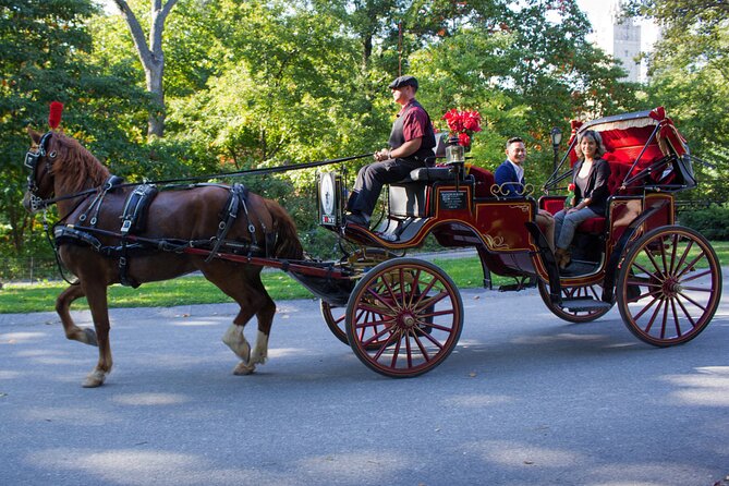 Central Park Carriage Ride w/ Drop Off @ Tavern On Green (45 min) - Cold weather, weather cancellations, and comfort