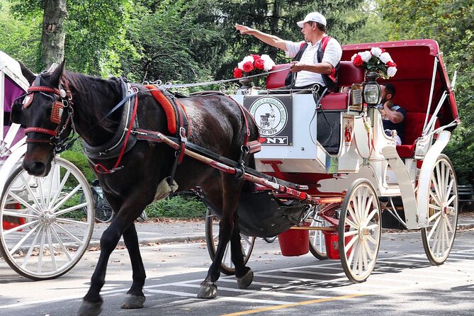 Central Park Carriage Ride w/ Drop Off @ Tavern On Green (45 min) - Movie locations and park stories keep the ride lively
