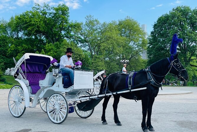 Central Park Horse and Carriage Rides - From the carousel to Central Park’s famous zoo