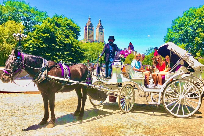 Central Park Horse and Carriage Rides - Literary Walk and the American Elm arches