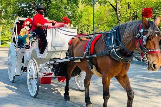 Central Park Horse and Carriage Rides - Bow Bridge delivers the classic Central Park picture