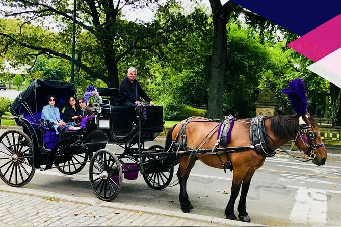 Central Park Horse and Carriage Rides - Cherry Hill and the Upper West Side views