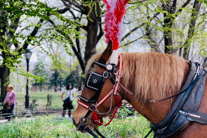 Central Park Horse and Carriage Rides - Strawberry Fields and the Dakota Building