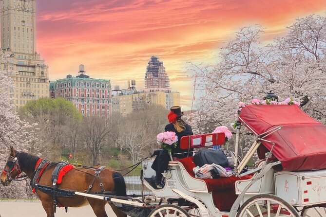 Central Park Horse and Carriage Rides - Guides, horses, and the human side of the ride