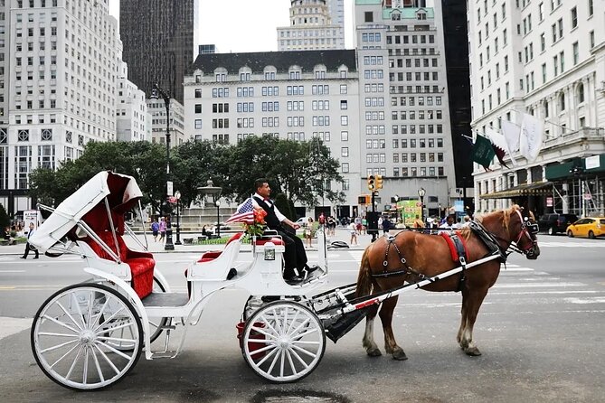 Central Park Horse Carriage Ride - Key points to know before booking