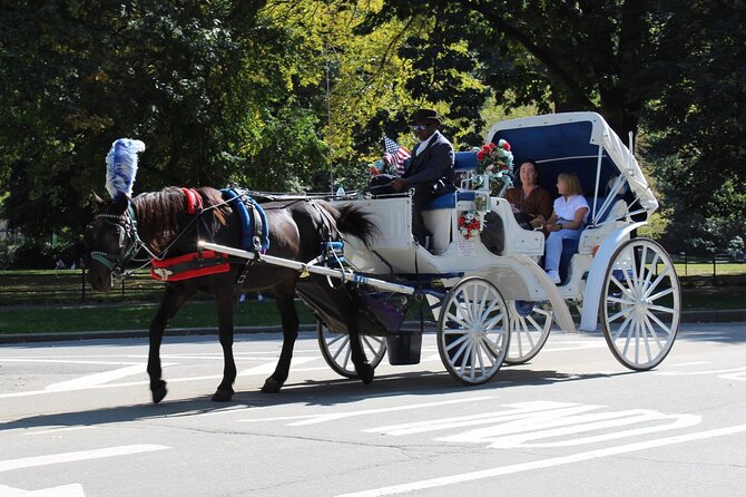 Central Park Horse Carriage Ride - What this 55-minute carriage ride is really like