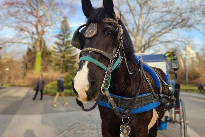 Central Park Horse Carriage Ride - Balto, SummerStage, and Pilgrim Hill