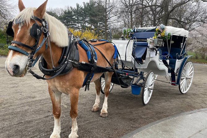 Central Park Horse Carriage Ride - Conservatory Water and Bethesda Terrace