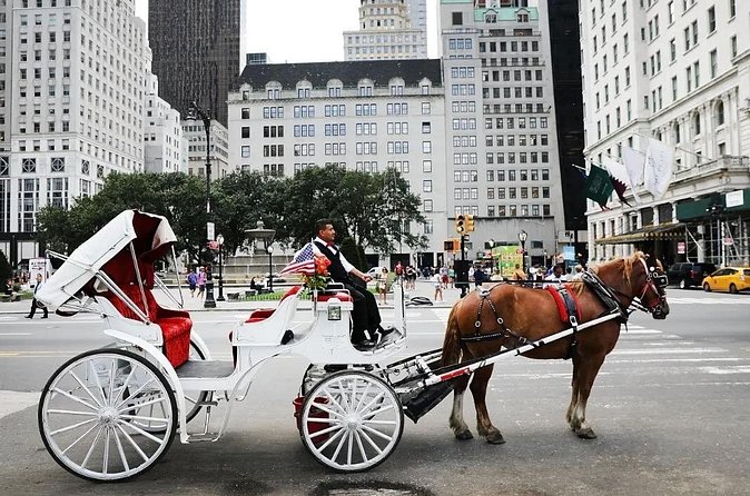 Central Park Horse Carriage Ride - Strawberry Fields and The Dakota