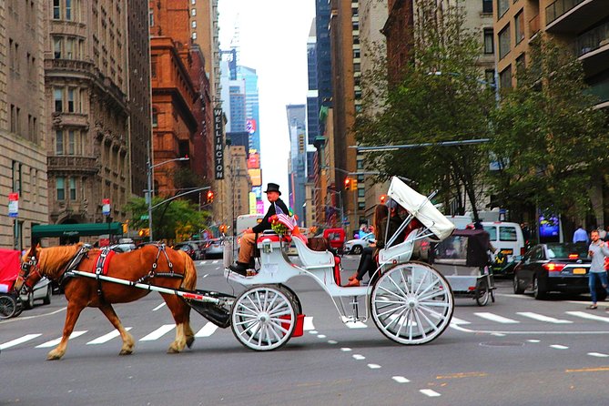 Central Park Horse Carriage Ride Short Loop (Up to 4 Adults)) - What the 20-minute Central Park ride is really like