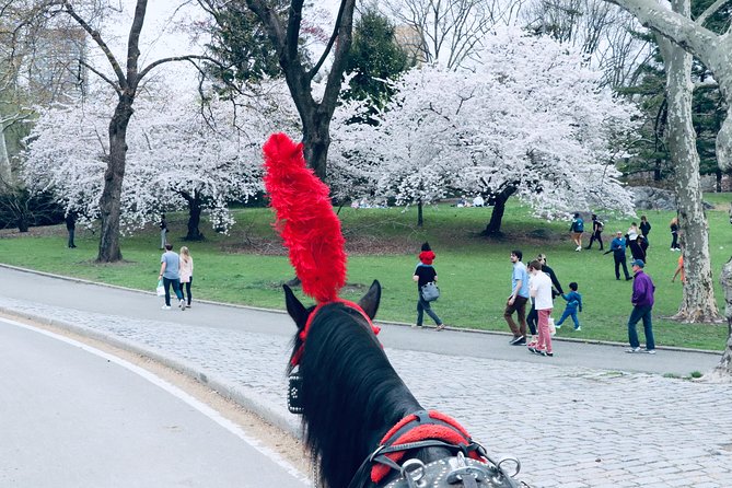 Central Park Horse Carriage Ride Short Loop (Up to 4 Adults)) - Guides who shape the experience