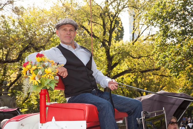 Central Park Horse Carriage Ride Short Loop (Up to 4 Adults)) - Finding the meeting point without stress