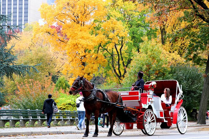Central Park Horse Carriage Ride Short Loop (Up to 4 Adults)) - Seasonal timing and weather