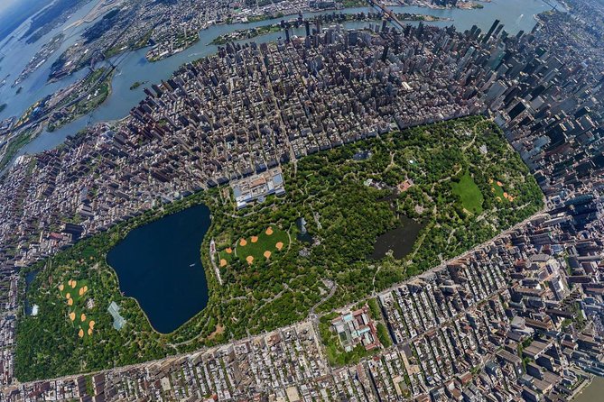 Central Park Horse Carriage Ride Short Loop (Up to 4 Adults)) - The carriage, horse, and small comforts