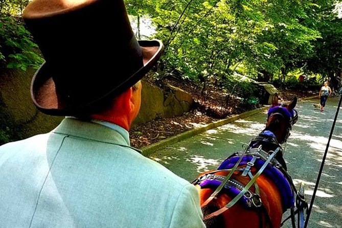 Central Park Private Horse and Carriage Tour - What the Central Park carriage ride feels like