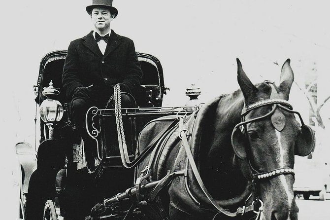 Central Park Private Horse and Carriage Tour - Weather cancellations need a clear plan