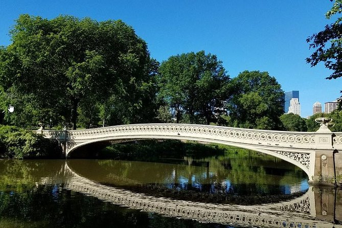 Central Park Private Horse and Carriage Tour - A private carriage is best for small groups