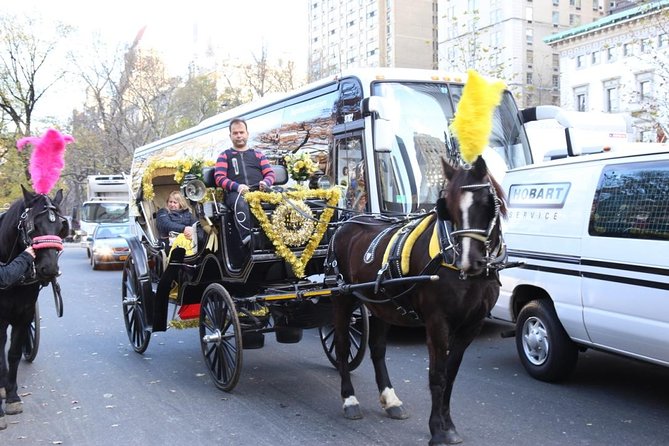 Central Park Private Horse Carriage Tour in NYC - Key points at a glance