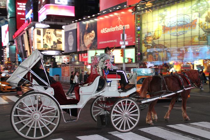 Central Park Private Horse Carriage Tour in NYC - Starting beside Central Park South