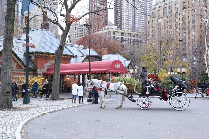 Central Park Private Horse Carriage Tour in NYC - Loeb Boathouse and Bethesda Fountain