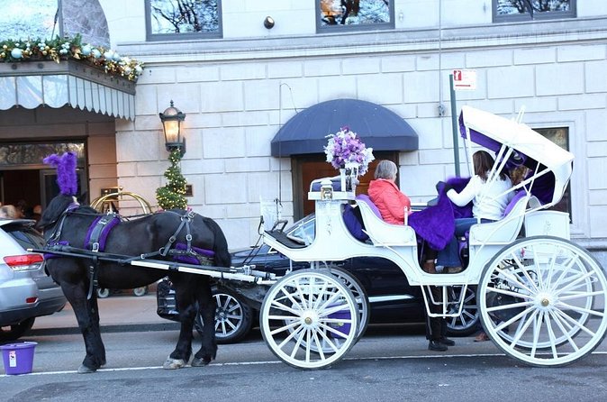 Central Park Private Horse Carriage Tour in NYC - Bow Bridge and Wagner Cove
