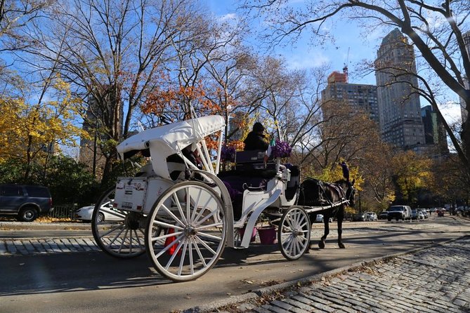 Central Park Private Horse Carriage Tour in NYC - Sheep Meadow and Pinebank Arch Bridge
