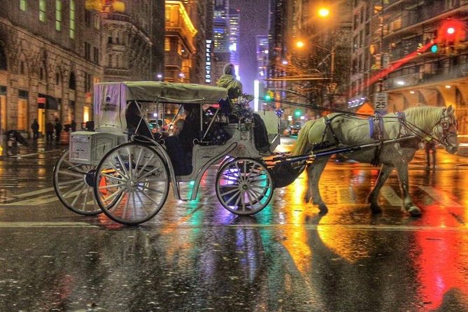 Central Park Private Horse Carriage Tour in NYC - From the Dairy to Wollman Rink and the zoo